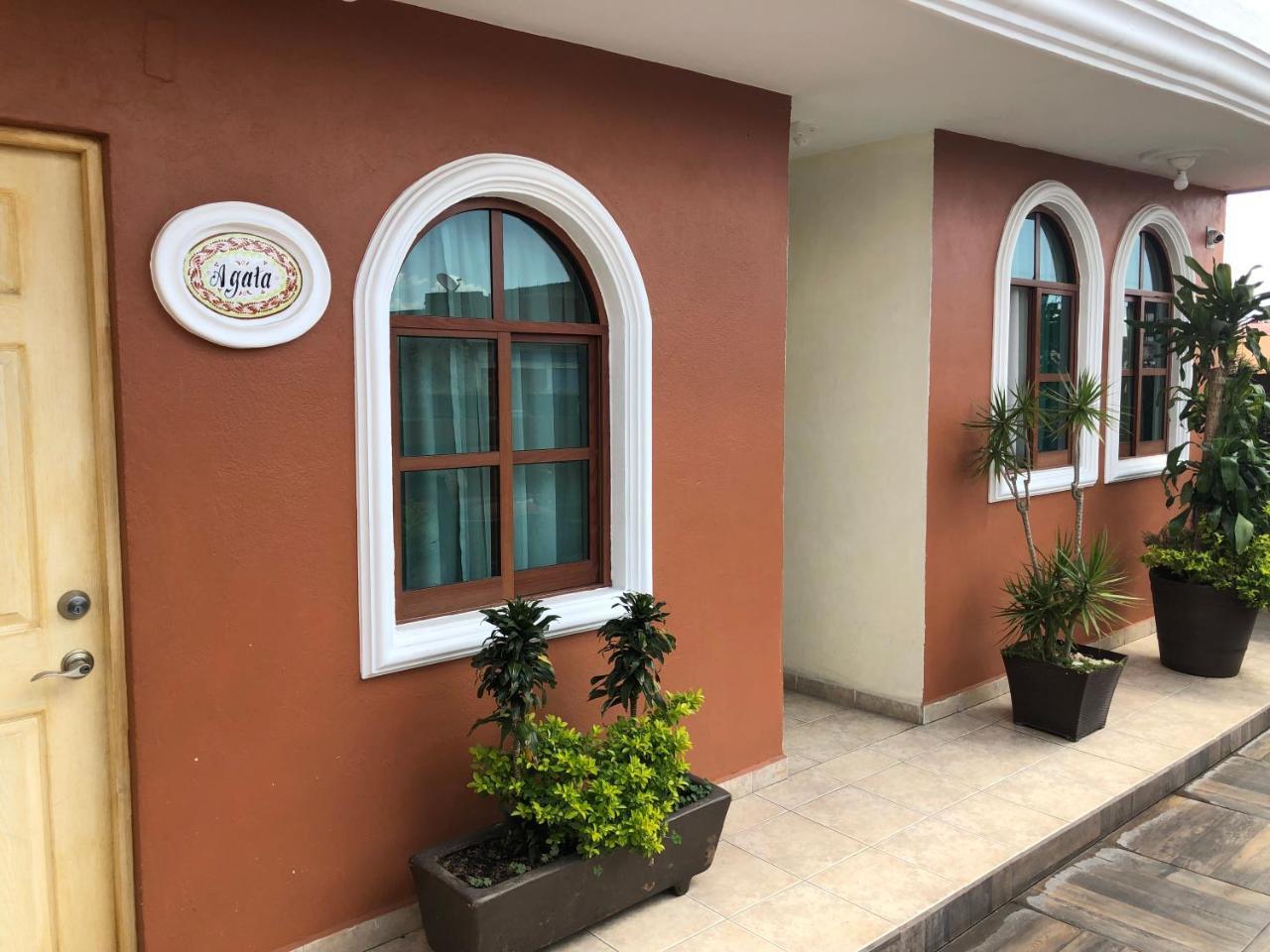 Hotel Elena Пуебла Екстер'єр фото